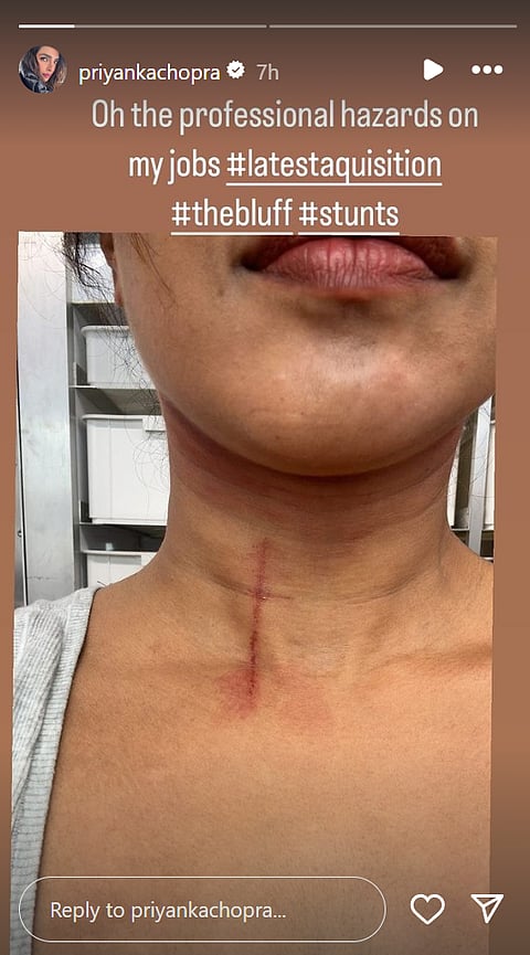 Priyanka Chopra on her Instagram Stories